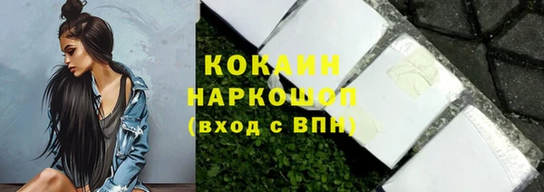 амф Верхний Тагил