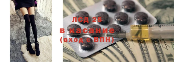 mdpv Бородино