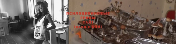 амф Верхний Тагил