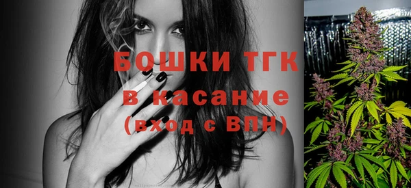 амф Верхний Тагил