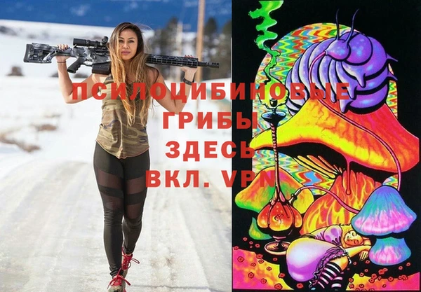амф Верхний Тагил