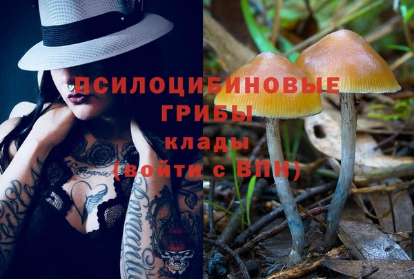mdpv Бородино