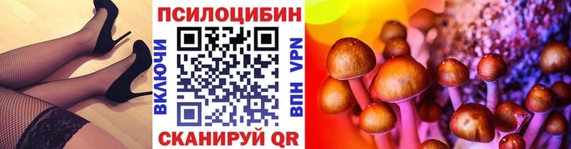 Галлюциногенные грибы Cubensis  Можайск 